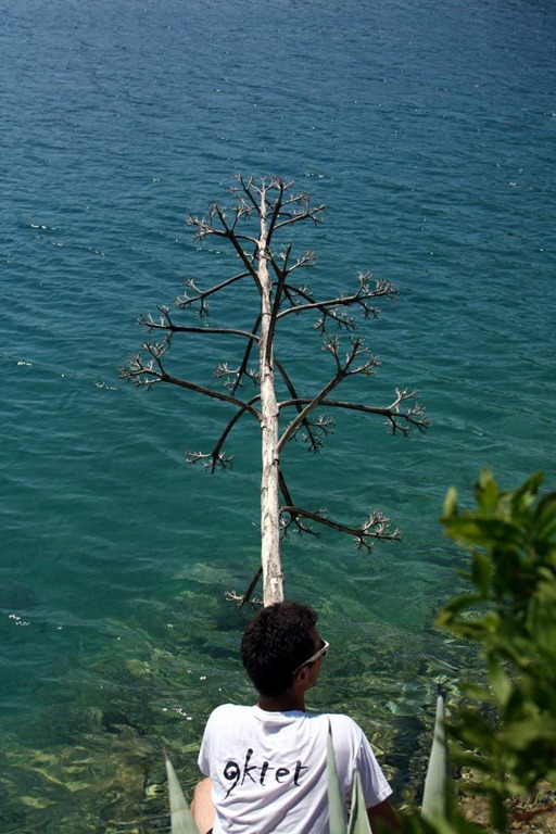 3-IMG_6803 3-IMG_6803